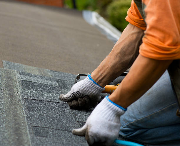Best Roof Inspection Near Me  in Home Gardens, CA