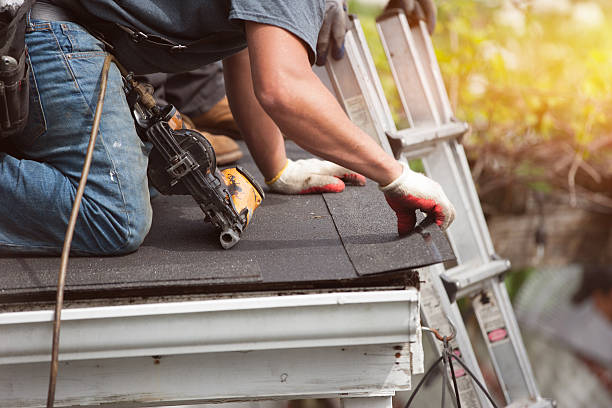 Roof Gutter Cleaning in Home Gardens, CA