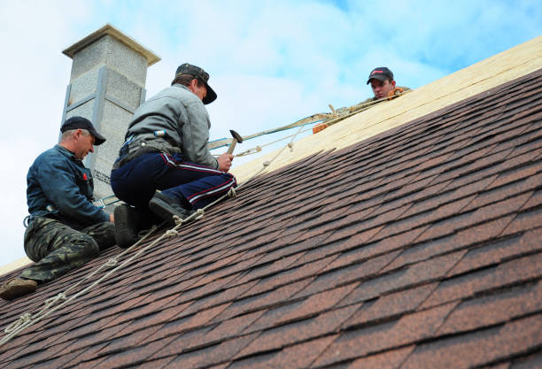 Best Roof Inspection Near Me  in Home Gardens, CA